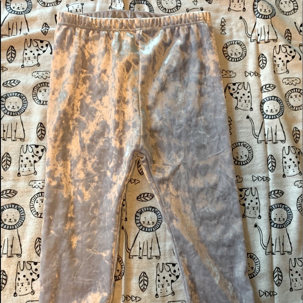 Velvet silver leggings never worn